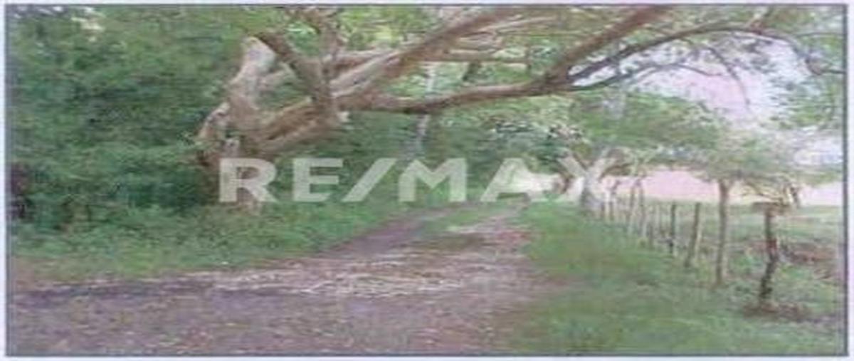 Foto de terreno habitacional en venta en lote 45 , cabo rojo (novillos) [ganadera], tampico alto, veracruz de ignacio de la llave, 0 No. 04